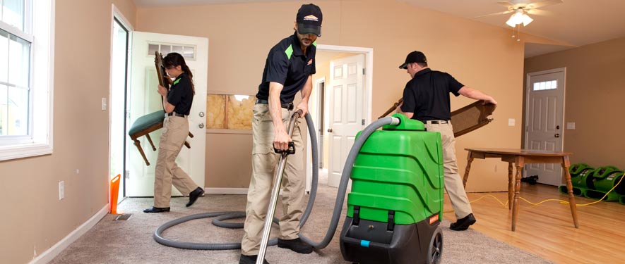 Fenton, MO cleaning services